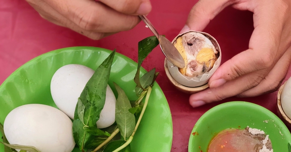 Những vùng miền nào ở Việt Nam có nổi tiếng với món Úp mề?