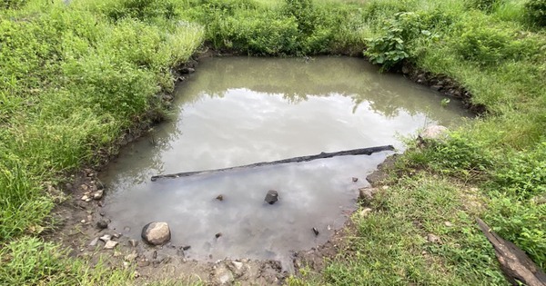 3 children tragically drowned in a pond in Gia Lai