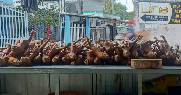 河內可能成為該國第一個拒絕吃狗肉和貓肉的城市