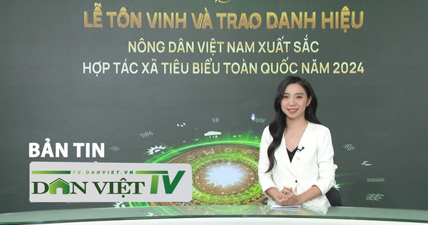 Bản tin đặc biệt: Tôn vinh nông dân xuất sắc, HTX tiêu biểu – ý nghĩa của sự lan tỏa