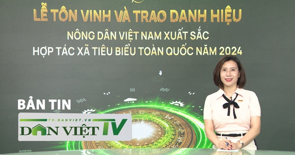 Bản tin đặc biệt: Chương trình Tự hào Nông dân Việt Nam 2024 – niềm kiêu hãnh của nông dân Việt