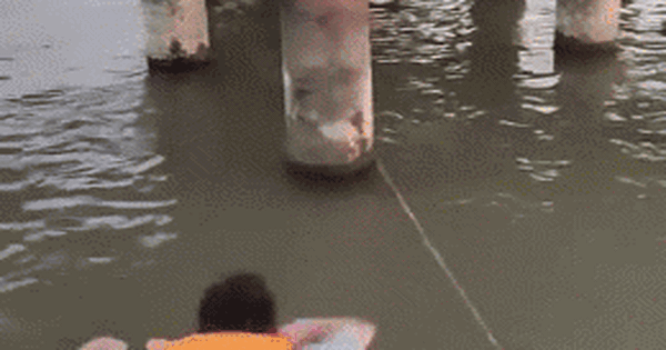 Clip NÓNG 24h: Cảnh sát bơi thoăn thoắt kịp cứu nam thanh niên nhảy cầu Long Biên