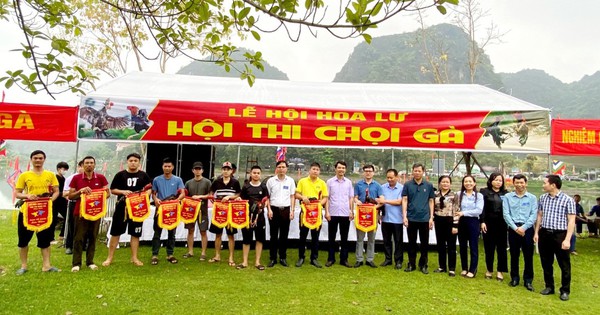 An attractive cockfighting competition organized by the Ninh Binh Farmers Association at the Hoa Lu Festival