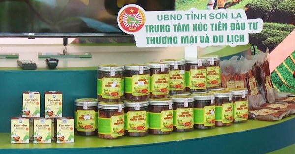 Ấn tượng không gian trưng bày sản phẩm văn hóa, du lịch, OCOP tại cao nguyên Mộc Châu