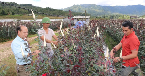 Nỗ lực đưa Nậm Khắt trở thành xã nông thôn mới đầu tiên của huyện vùng cao Mù Cang Chải