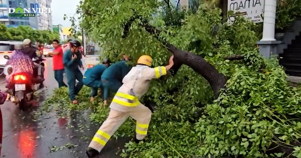 Video: TP.HCM xuất hiện mưa đá, một số tuyến đường ngập sâu
