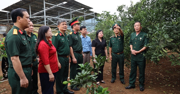 Hiệu quả chương trình phối hợp giữa Trung ương Hội Nông dân Việt Nam và Quân đội Nhân dân Việt Nam