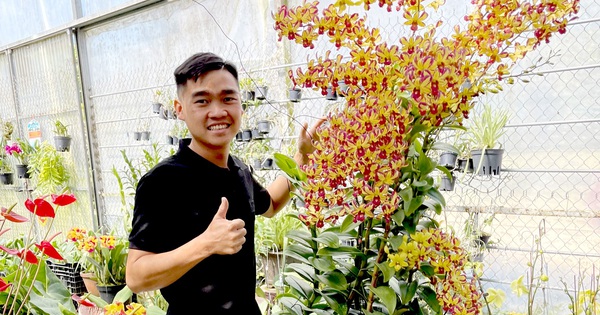 9X Lam Dong makes a revenue of two billion / 12 months because of the sale of mutant orchids, bold to create a uncommon wild orchid conservation space