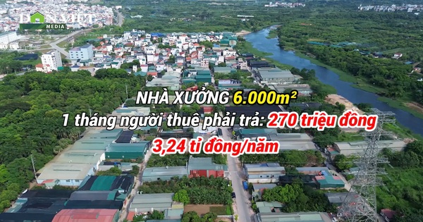 Chủ xưởng xây dựng trái phép để cho thuê ở Hoài Đức (Hà Nội) “đút túi” bao tiền/tháng? (Video kỳ 3)