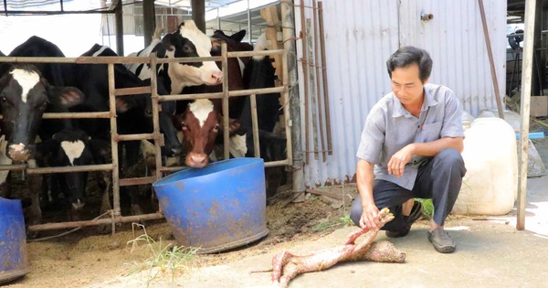 danviet.vn