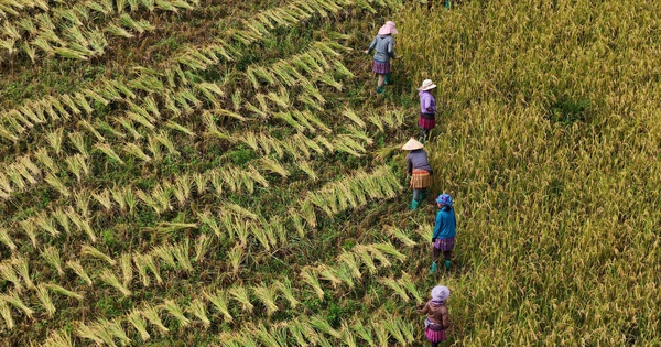 Lào Cai mở các tour du lịch kết hợp thiện nguyện hướng về đồng bào vùng lũ