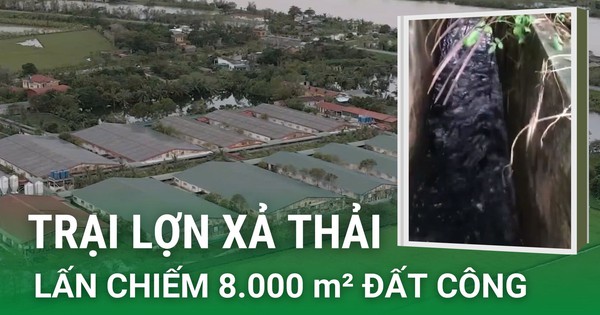 Từ việc xả thải “lòi ra” hàng loạt sai phạm đất đai của trại lợn tại Đông Hưng, Thái Bình (Video kỳ 2)