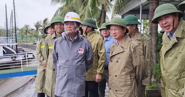 Video: Bộ trưởng Bộ NNPTNT Lê Minh Hoan kiểm tra công tác phòng chống siêu bão Yagi tại Quảng Ninh