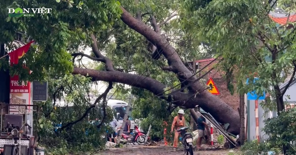 Video: Người dân Hà Nội chưa hết bàng hoàng sau khi bão số 3 “càn quét”