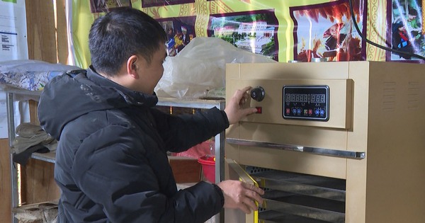 Làm OCOP ở Bắc Kạn giúp nông dân vùng núi thay đổi tập quán sản xuất, nghĩ lớn làm lớn
