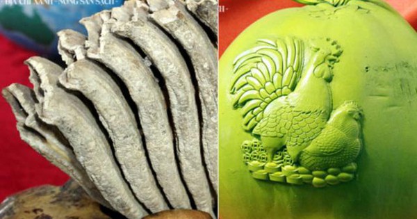 Bộ răng voi hóa thạch nổi tiếng nào được tìm thấy tại Việt Nam?
