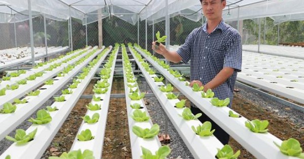 Các mô hình trang trại thành công tại Việt Nam bạn nên tham khảo