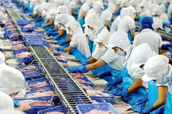 Top 10 doanh nghiệp thủy sản tăng trưởng ấn tượng trong tháng 1/2022