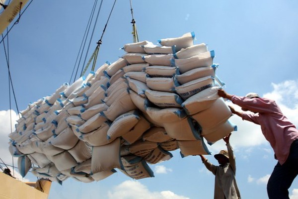 Xuất khẩu gạo sang Indonesia tăng đột biến, cảnh báo rủi ro