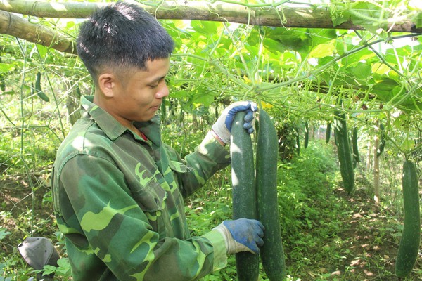 Bà con dân tộc thiểu số vùng biên giới Sơn La giàu lên nhờ chuyển đổi cơ cấu cây trồng trên đất dốc