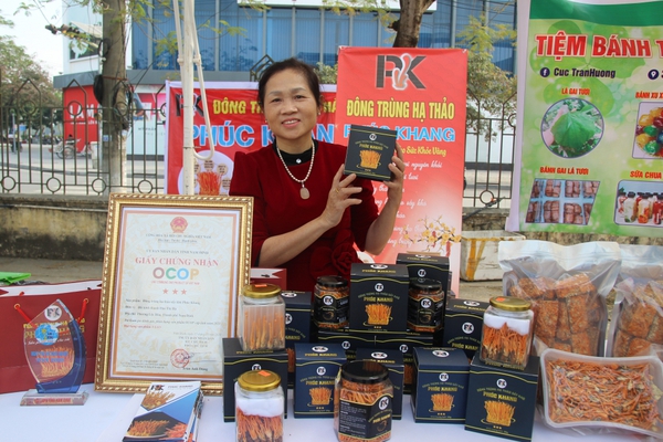Nuôi cấy đông trùng hạ thảo trên nhộng tằm, một nữ nông dân ở Nam Định thu hơn nửa tỷ đồng mỗi năm