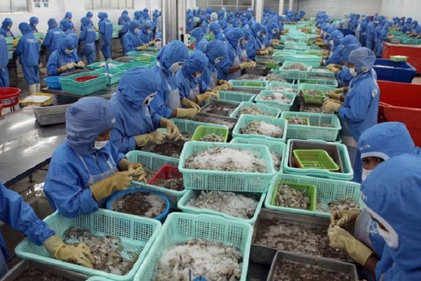 Dự báo xuất khẩu thuỷ sản đạt 9,3 tỷ USD, thị trường Mỹ sẽ "ấm" lên từ quý III