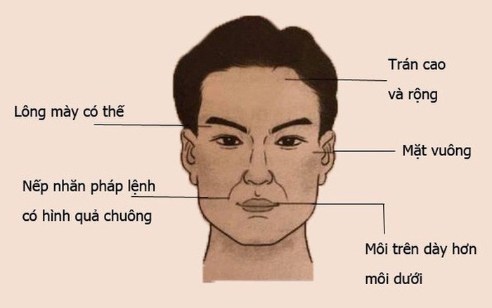 Đàn ông tướng mạo thế này rất đểu  nghiệm xem có đúng không