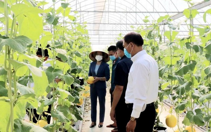 Kết nối dữ liệu cho sản xuất và kinh doanh nông nghiệp xanh  Tạp chí Kinh  tế Sài Gòn