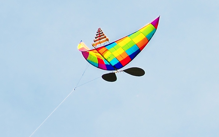 Diều cánh phẳng Thủy Nguyên hình con ong 2m8  Vietnam Kites  Shop Diều