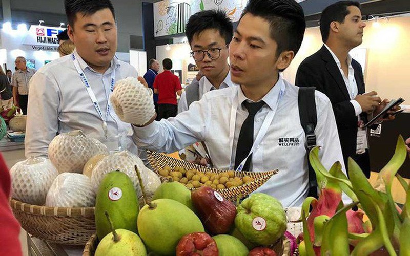 Trung Quốc siết nhập khẩu, rau quả Việt lao đao