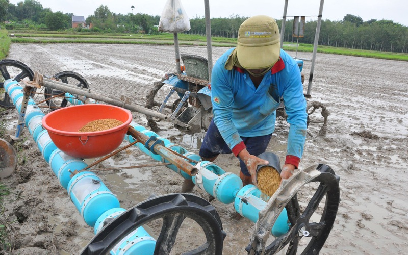 Một nông dân tỉnh Tây Ninh cải tiến thành công máy sạ hàng, kéo vèo 1 cái đã xong 1ha lúa quý hiếm ST25