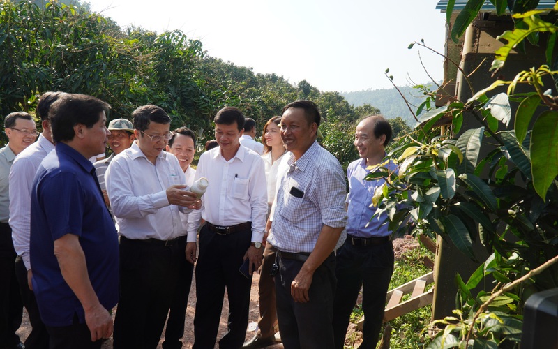 Việt Nam đứng đầu ASEAN về thuốc bảo vệ thực vật sinh học