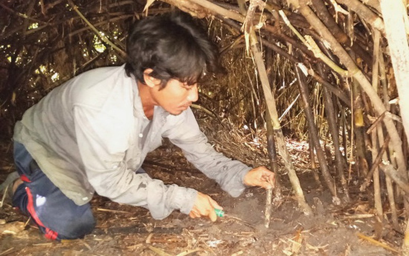 Tây Ninh: Sản vật núi rừng ở đây là thứ gì mà dân đi đào gặp nguy hiểm vẫn cứ đi?