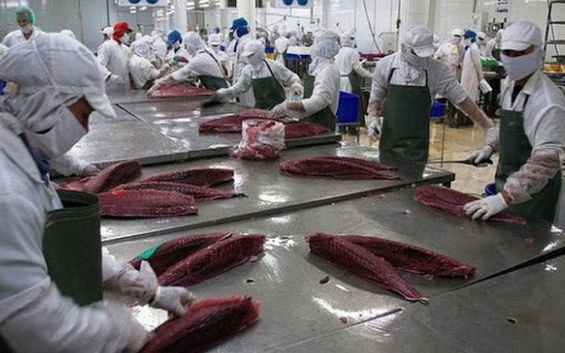 Xuất khẩu cá ngừ sang thị trường Mỹ tăng trở lại