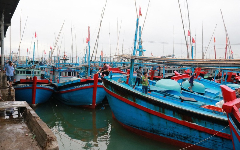 Khánh Hòa đối phó cơn bão số 12: Người nuôi trồng rời tàu thuyền, lồng bè trước 18h chiều nay