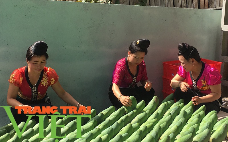 Nông thôn mới Sơn La: Nhiều giải pháp giúp nông dân làm giàu