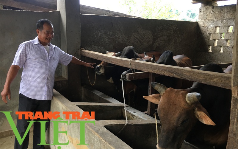 Vân Hồ gắn xây dựng nông thôn mới với phát triển kinh tế-xã hội