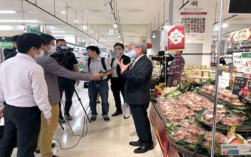 Truyền thông Nhật Bản nói gì về lô vải thiều đầu tiên nhập khẩu từ Việt Nam?