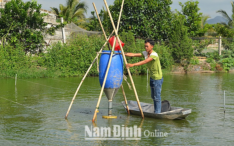 Bắt bán 60 tấn cá chạch phàm ăn, trai Nam Định thành tỷ phú