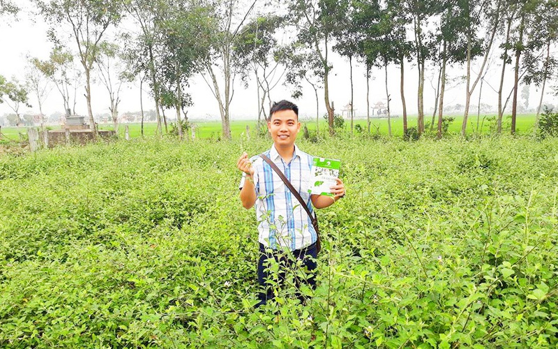 Nghệ An: Cặp phu thê vì mê cà dại mà cất bằng cao đẳng về quê nghịch đất...ra hàng trăm triệu