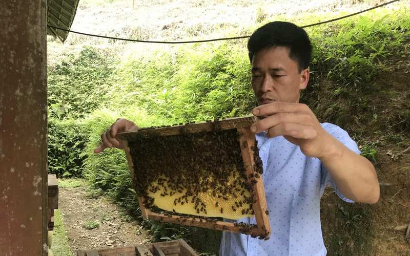 Nông dân Bắc Kạn cùng khấm khá nhờ chia sẻ bí quyết nuôi ong luyện ra thứ mật ngon