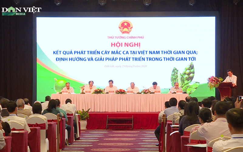 Mắc ca Việt Nam cần phải được đầu tư thương hiệu hơn nữa