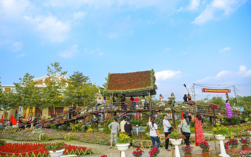Hàng nghìn cây hoa rực rỡ tạo hình bản đồ Việt Nam tại lễ hội hoa Xuân Quan