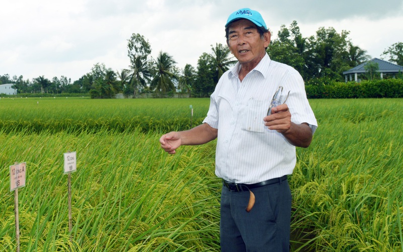 Gạo ST25 bán tràn lan, thật giả lẫn lộn, cha đẻ gạo ngon nhất thế giới 2019 Hồ Quang Cua tiết lộ điều gì?