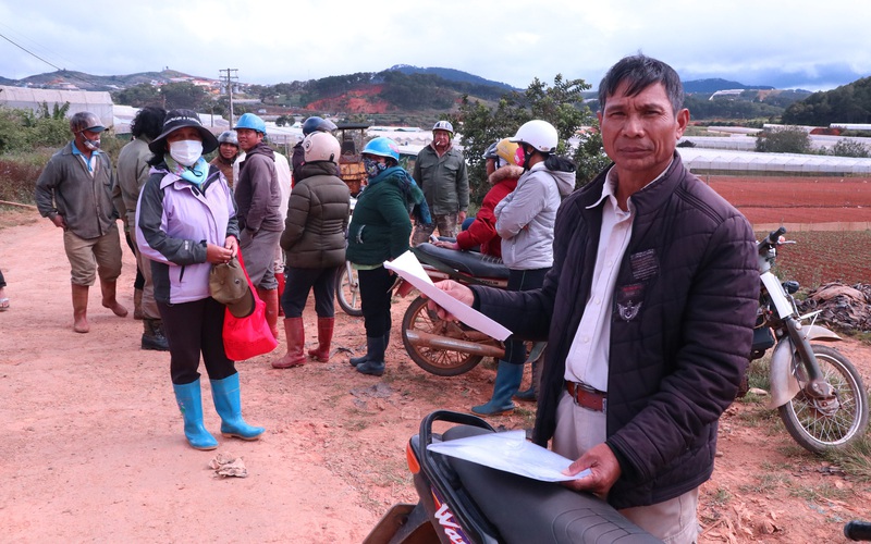 Vụ dân khốn đốn vì doanh nghiệp nợ tiền thuê đất ở Lâm Đồng: Kiến nghị xử lý dứt điểm