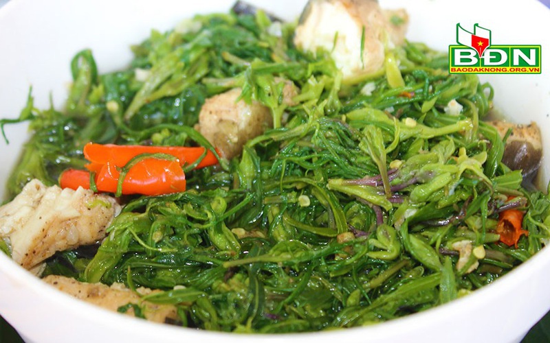 Gia Lai: Cá lăng đặc sản nấu với hoa, lá của loài cây tên rất lạ, thực khách trầm trồ vì quá ngon