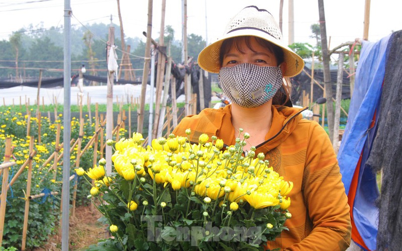 Giá hoa 'hồi sinh', dân làng Tây Tựu mừng như bắt được vàng