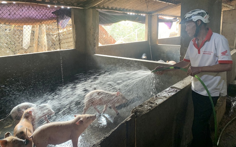 Hội Nông dân Bình Lư: Cầm tay, chỉ việc giúp nhiều nông dân làm giàu 