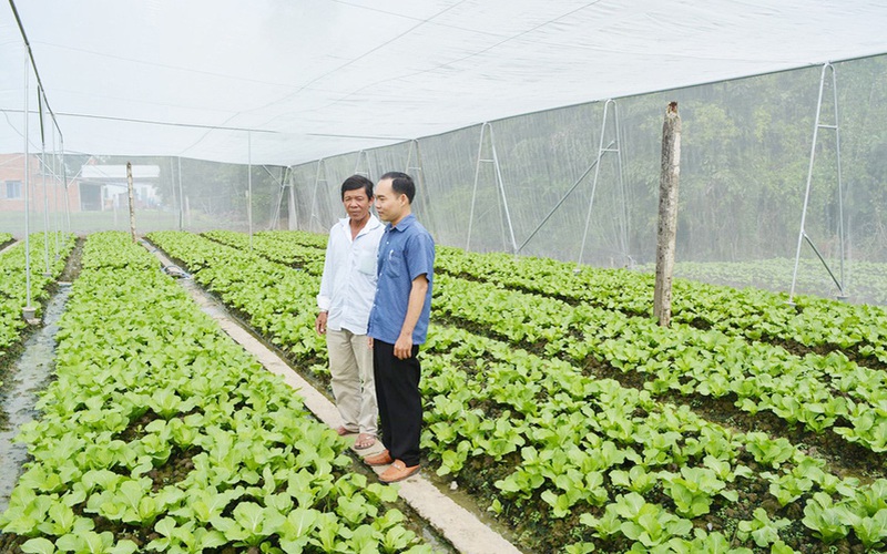 Nữ tỷ phú trồng rau sạch #48 Nữ tỷ phú trồng rau sạch