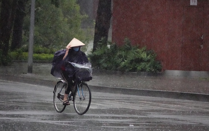 Video: Người Hà Nội đội mưa mặc áo ấm ra đường đón gió lạnh đầu mùa